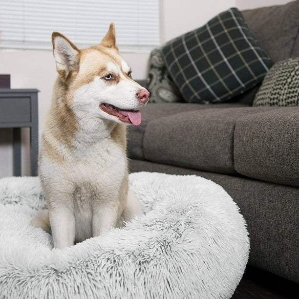 Sheri luxury hot sale dog bed