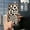 Bronze, variant on LYM-Phone Case For Samsung Galaxy A03S/SM-A037G, Graffiti Cartoon TPU Durable Card slot Shockproof Card sleeve Back Cover Cute Full wrap protective Soft case Waterproof Fashion Design