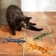 thumbnail image 5 of Juguete para gatos CiyVolyeen Lizard Catnip, paquete de 4 unidades, 36 x 15 cm, 5 of 7