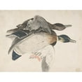 thumbnail image 2 of Count Giorgio Durante 24x19 Gold Ornate Framed and Double Matted Museum Art Print Titled - Two Dead Ducks (1685-1755), 2 of 4