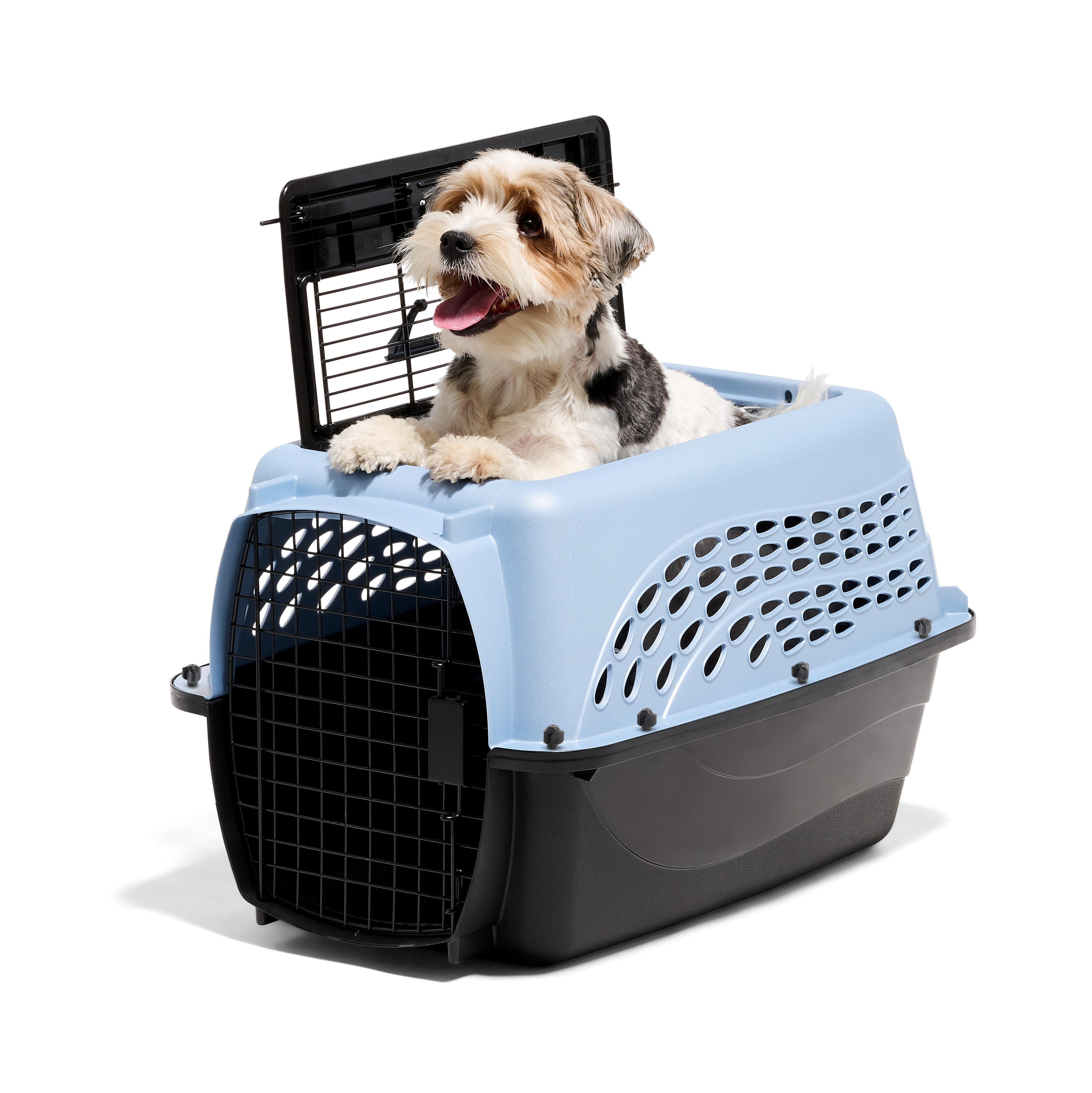 Petmate Plastic Carrier for Dogs & Cats, 2 Door Top Load Travel Kennel, Blue, for Dogs & Cats up to 15 lbs, Medium, 24" x 14.50" x 16.76"