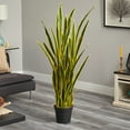 thumbnail image 3 of Nearly Natural 5' Plastic Sansevieria Artificial Plant, Green, 3 of 4