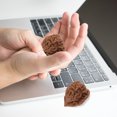 thumbnail image 2 of MasteelfCA 2pcs Walnut Massage Balls Handball Training Wild Walnut Health Ball Playthings, 2 of 8