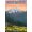 Unframed, variant on Art.com Mt. Bachelor, Oregon - Pine Martin and Flowers Art Print by Lantern Press, White Frame Wall Art, 17" x 23"