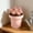 Pink, variant on er Mini Plastic Flower Pot Simple Indoor Desktop Container For Small s