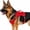 Black, variant on Dog Vest Harness for Dogs & Cats, No Pull Heavy Duty Harness for Training Walking(Blue,M)