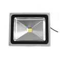 thumbnail image 1 of 1 Pce 30W 50W 100W Ampoule LED Haute Puissance Éclairage Extérieur Lampe Spot Lampes Murales, 1 of 5