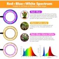 thumbnail image 2 of Plant Grow Light W Growing Lights for Indoor Plants Full Spectrum LED Floor Lamp with Height Adjustable Stand Auto Timer H Dimmable Brightness for Small Large Tall Plants Gr, 2 of 7