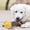 Yellow, variant on Dog Toy for Dogs Food Puzzle Mentally Stimulating Puppy Chew Brain Teething Training Playing Indoor Outdoor Pink 8cm