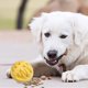 thumbnail image 3 of Juguete para perros con rompecabezas de comida Estimulante mental para cachorros Masticable para estimular el cerebro Entrenamiento para la dentición Juego para interior y exterior, 3 of 4