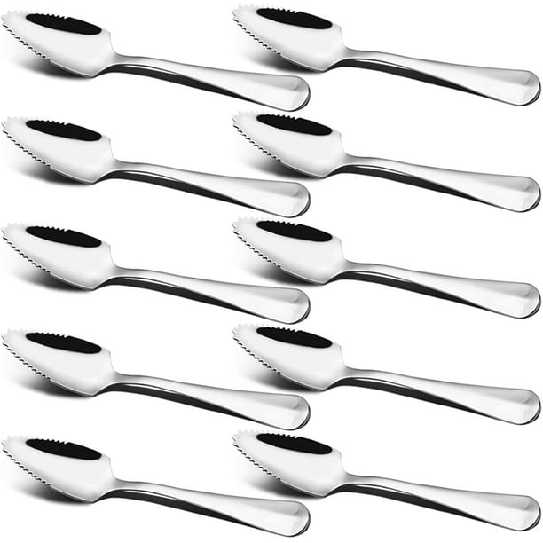 Juego de 10 cucharas de toronja y postre, acero inoxidable findTop con cucharas de borde serrado, 6 pulgadas