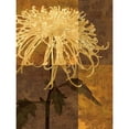 thumbnail image 3 of Mallett, Keith 19x24 Black Modern Framed Museum Art Print Titled - Golden Mums I, 3 of 5