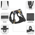 thumbnail image 6 of Lsque Bluey Dog Harness, No-Pull Pet Harness with 2 Leash Clips, Adjustable Soft Padded Dog Vest with Easy Control Handle for Large Dogs-X-Large, 6 of 9