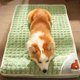 thumbnail image 3 of Soft and Warm Dog Mat Small Medium Dog Luxury Sofa Cat and Dog Plaid Bed Plush Sleeping Bed Removable and Washable Pet Bed ShopWise Round, 3 of 9