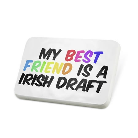 Porcelein Pin My best Friend a Irish Draft, Horse Lapel Badge –