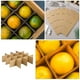 thumbnail image 3 of 18 divisores de vidrio para cajas de mudanzas, divisores de cajas de cartón para mudanzas, embalaje de platos, cajas de mudanzas, divisores corrugados, cabe en caja para embalaje, envío, color caqui, 3 of 6