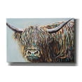 thumbnail image 1 of Epic Graffiti 'Woolly Highland I' by Carolee Vitaletti, Canvas Wall Art, 40"x26", 1 of 2