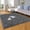 Dark Gray, variant on Cshidworld Area Rugs for Living Room Bedroom, 4x6 Ultra Soft Comfy Fluffy Thickened Memory-Foam Indoor Carpets, Modern Minimalist Carpet for Teen Adults Apartment Bedroom Home Decor, Gray