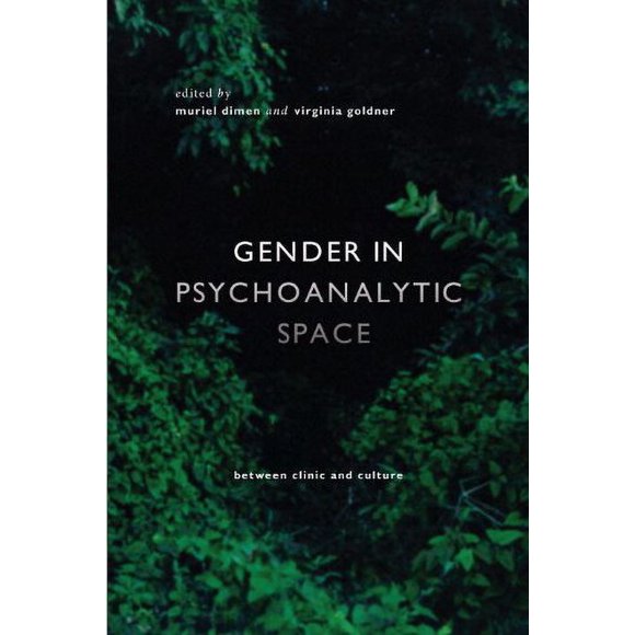 Gender in Psychoanalytic Space : Between Clinic and Culture 9781590514726 Used / Pre-owned