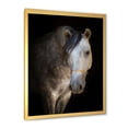 thumbnail image 2 of Designart 'Close Up Portrait Of A White Horse' Farmhouse Framed Art Print, 2 of 4