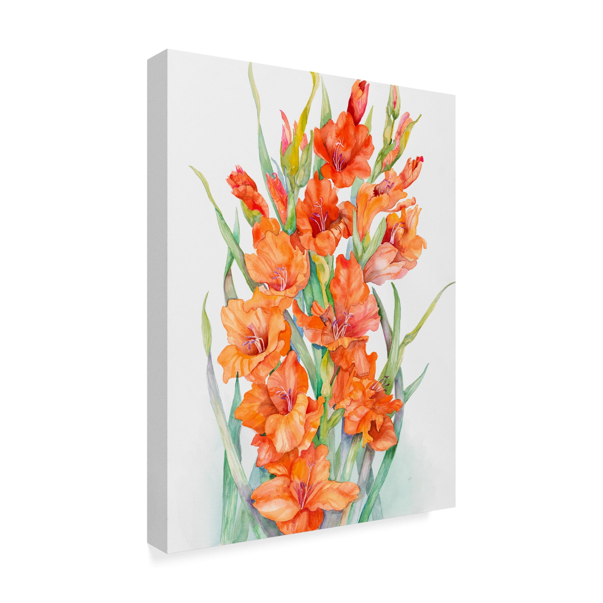 Trademark Fine Art 'Hot Orange Gladiolus' Canvas Art by Joanne Porter