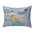 thumbnail image 1 of Betsy Drake NC548 16 x 20 Po Croc et Papillon Sans Cordon Coussin Intérieur et Extérieur, 1 of 1