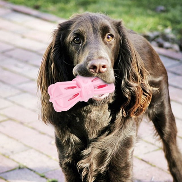 Chien Jouet Chien Mâcher Jouet Chien Morsure Jouet Chien Grincement de Dents Jouet TPR Chien Mâcher Chien Chien Chien Morsure Grincement de Dents Interactive Formation Jouet