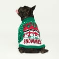thumbnail image 2 of Jersey para perro Fitwarm Chillin with Snowmies Small Green, 2 of 7