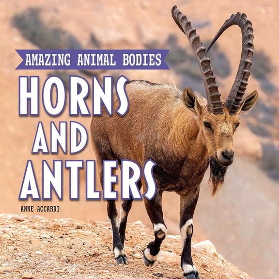 Amazing Animal Bodies Horns and Antlers, (Hardcover)