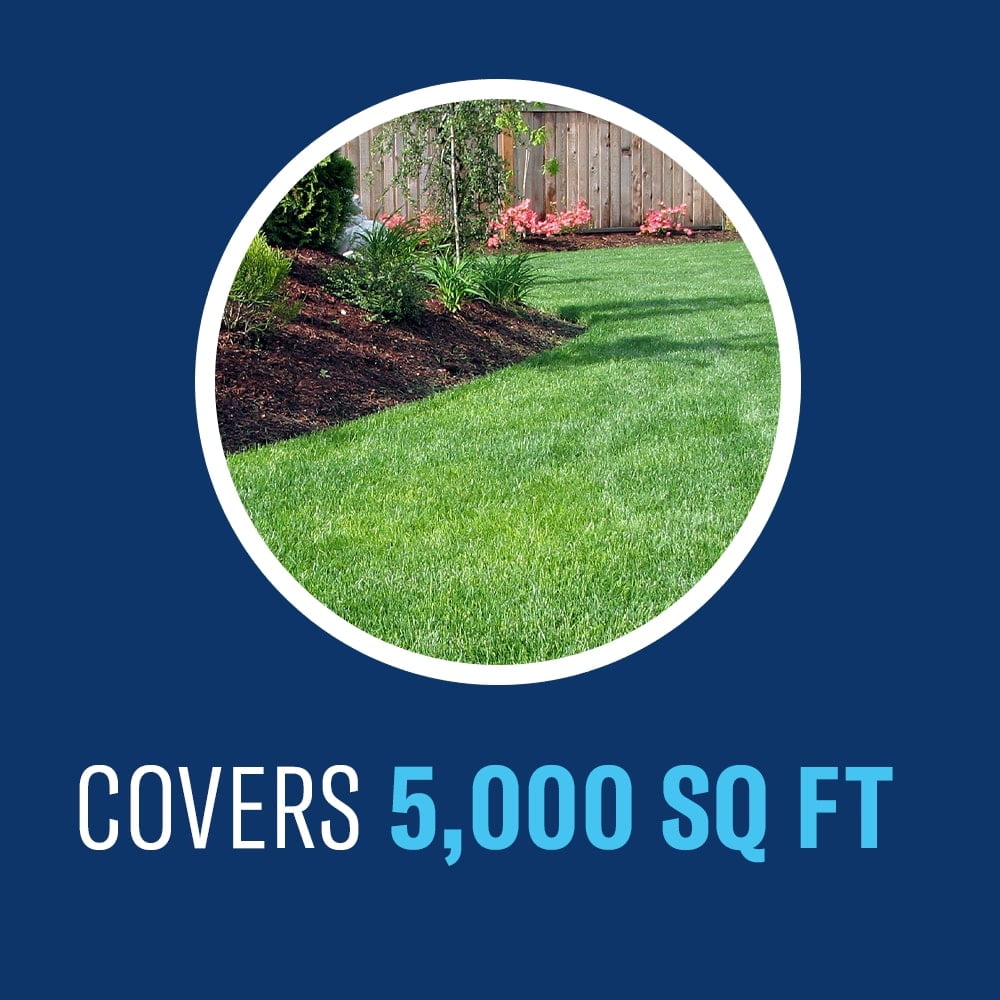 BioAdvanced Fungus Control for Lawns, Ready-to-Spray, 32 fl oz Bottle