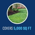 thumbnail image 4 of BioAdvanced Fungus Control for Lawns, Ready-to-Spray, 32 fl oz Bottle, 4 of 6
