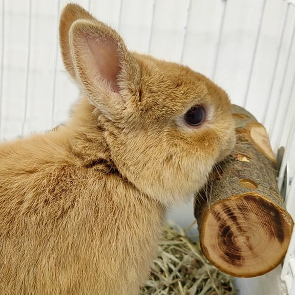 BESTSKY Wood,Small Animals Cage Accessories,Molar Wood Chew Treats Toys for Rabbits,Hamster,Guinea Pig,Ch"Illas,Gerbils,Mice,Rats,Mouse,Bunny