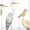 Birds Of The Coast Rustic Panel, variant on Elephant Stock Birds Of The Coast Rustic Panel Wall Art - Horizontal Multi Panel Canvas - Living Room Wall Decor - Animal Multi Panel - White And Gray Decor By Tara Reed - 26" x 12"