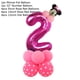 thumbnail image 5 of Juego de 14 globos de aluminio de Minnie rosa de Disney, regalos de cumpleaños para niñas, decoraciones para fiestas, edad 1, 2, 3, 4, 5, 6, 7, 8, 9, suministros para globos con números, 5 of 5