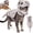 Grey(Without luminous effect), variant on Zydvens Glow in the Dark Pet Dinosaur Skeleton Costume - 3D Cozy Plush Cat Dog Skeleton Halloween Outfit Adjustable Soft for Halloween Pet Cosplay Costume