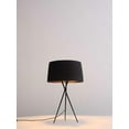 thumbnail image 2 of 18" X 18" X 29.5" Black Carbon Steel Table Lamp, 2 of 2