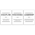 thumbnail image 5 of Motivational Painting Wall Art 3 Pieces Canvas Discipline Perseverance Leadership Noun Office Decor Print Inspirational Quotes for Wall Art Poster Living Room Gym Decor Framed[36''''Wx 16''''H], 5 of 6