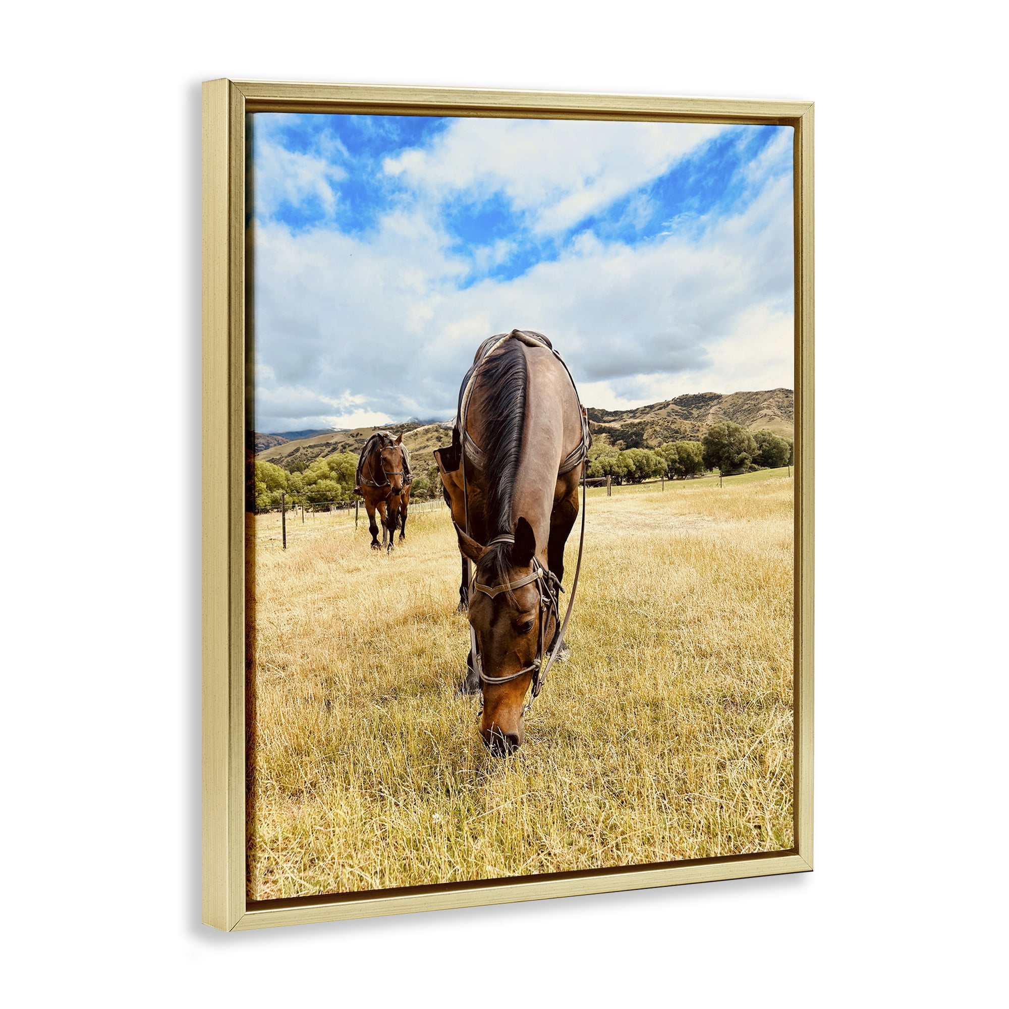 Stupell Industries Grazing Horses Pasture Animals Photography Gold Floater Framed Canvas Art Print Wall Art, 17 x 21