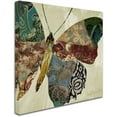 thumbnail image 2 of Trademark Fine Art "Butterfly Brocade II" Canvas Art by Color Bakery, 2 of 3
