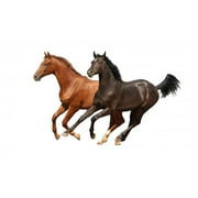Wallmonkeys Gallop Horses Isolated Peel and Stick Wall Decals WM175303 (36 in W x 23 in H)