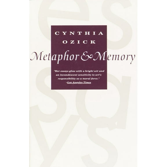 Metaphor & Memory (Paperback)