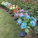 thumbnail image 3 of Luces de flores Injueey alimentadas por energía solar decorativas para césped, 3 of 6