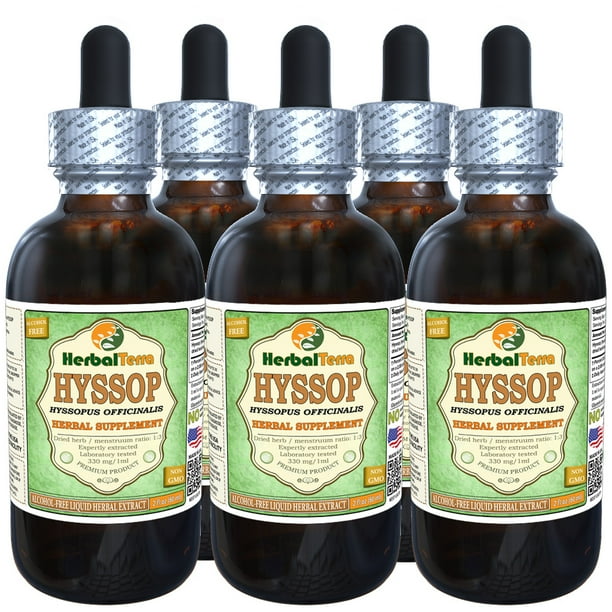 Hyssop Hyssopus Officinalis Glycerite Organic Dried Herb Alcohol Free Liquid Extract Herbal Terra Usa 5x2 Oz Walmart Com Walmart Com