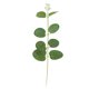 thumbnail image 2 of Simulation Decoration 20pcs Silk Flower Material Suitable For Wedding/living Room/lobby Decoration Etc, 2 of 6
