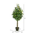 thumbnail image 2 of Vickerman TA171101 Real Touch Lemon Flowering Tree with Pot - 51 in., 2 of 2