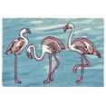 thumbnail image 1 of Liora Manne Frontporch Flamingo Blue Indoor/Outdoor Rug 30" x 48", 1 of 4
