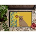 thumbnail image 3 of Summer Sunflowers Fawn Pit Bull Terrier Indoor or Outdoor Mat 24x36 36 in x 24 in, 3 of 5