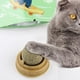 thumbnail image 5 of Gato giratorio de menta dientes molienda palo lamiendo Lollipop Cat Tool Cat Supplies Cat Snacks Cat Toys, 5 of 8
