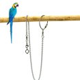 thumbnail image 3 of Bird Foot Stand Chain Creative Stainless Steel Parrot Foot Chain Bird Supplies, 3 of 8