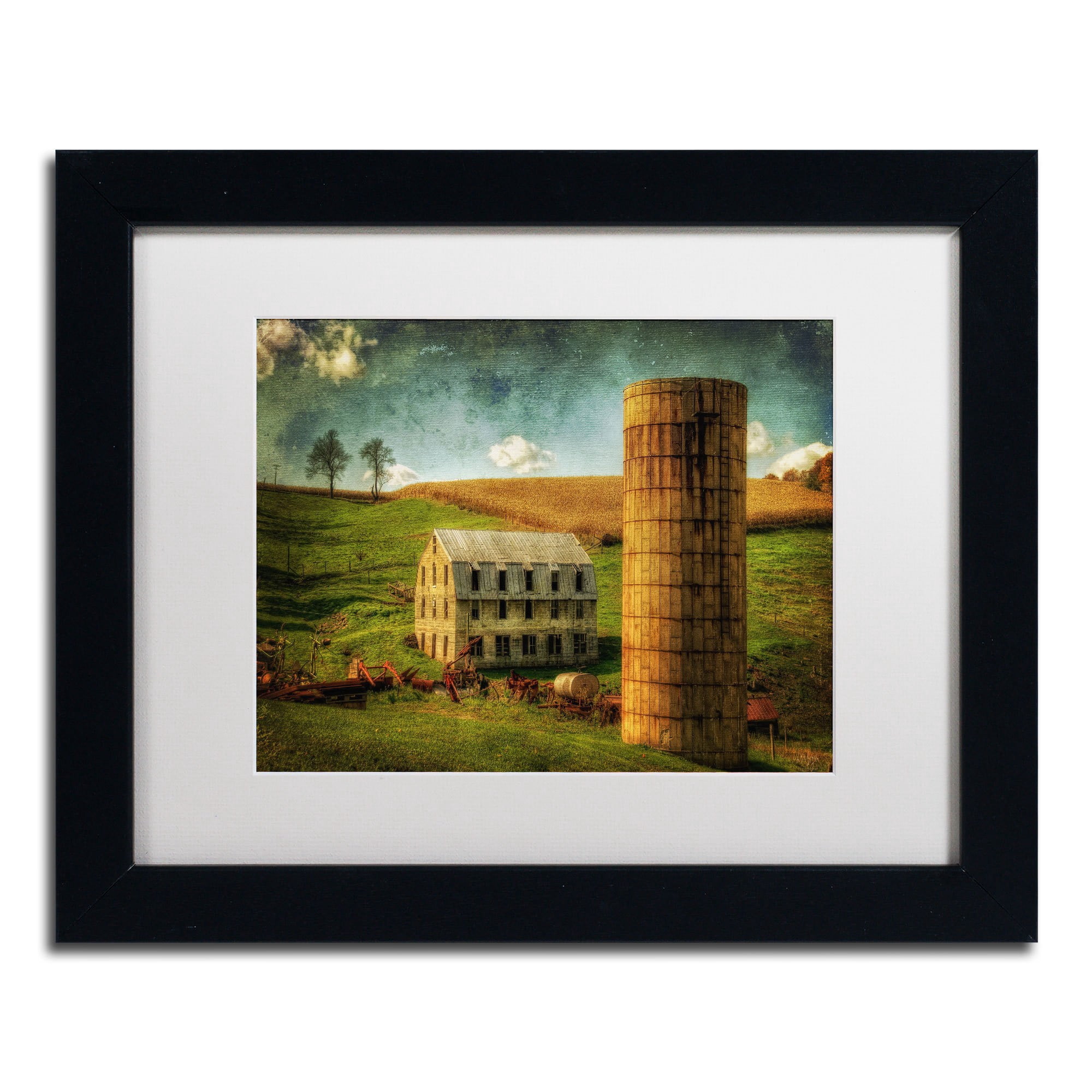 Trademark Fine Art "His Pride and Joy" Canvas Art by Lois Bryan, White Mat, Wood Frame
